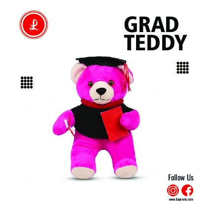 Teddy-GRAD Grad Teddy - Image 1